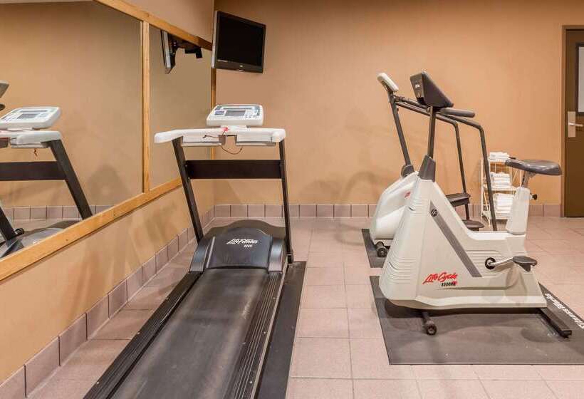 汽车旅馆  Super 8 By Wyndham Appleton