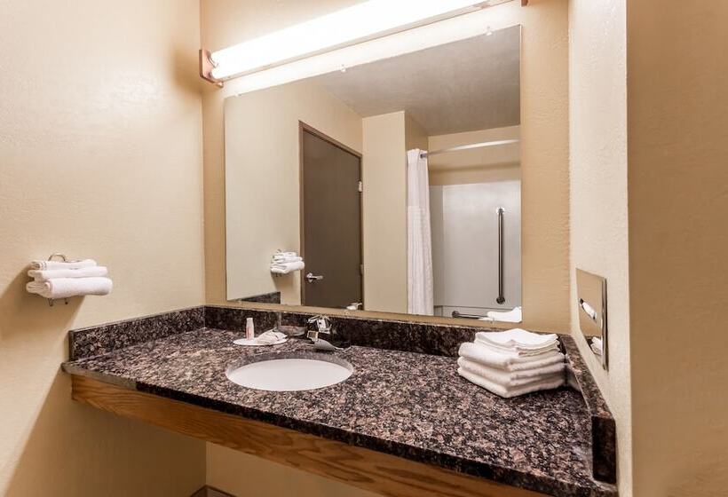 汽车旅馆  Super 8 By Wyndham Appleton