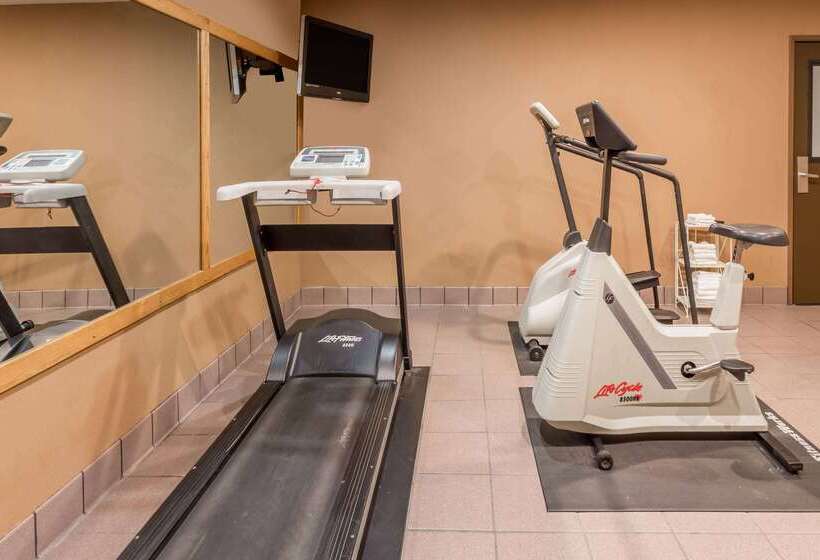 汽车旅馆  Super 8 By Wyndham Appleton