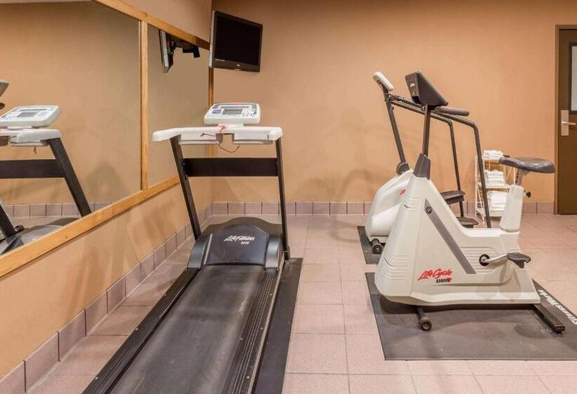 汽车旅馆  Super 8 By Wyndham Appleton