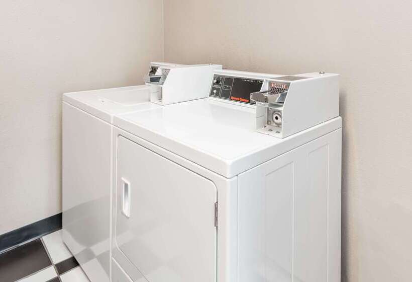 汽车旅馆  Super 8 By Wyndham Bloomington