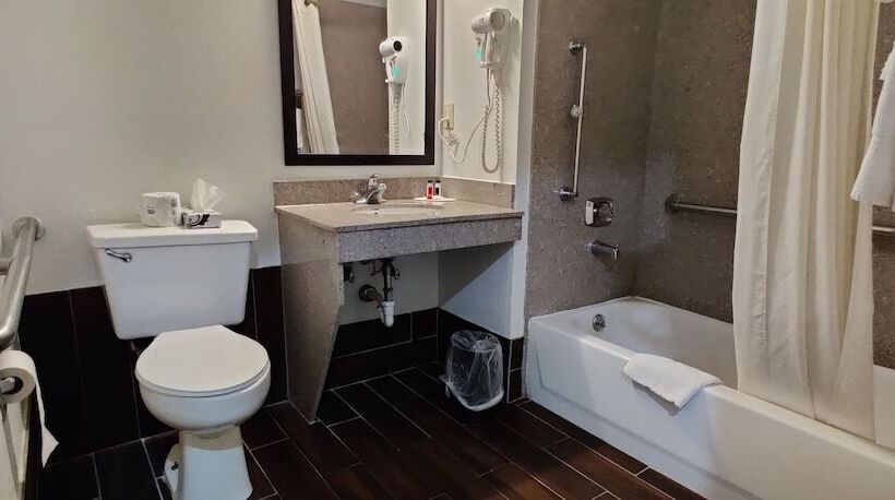 モーテル Super 8 By Wyndham Champaign