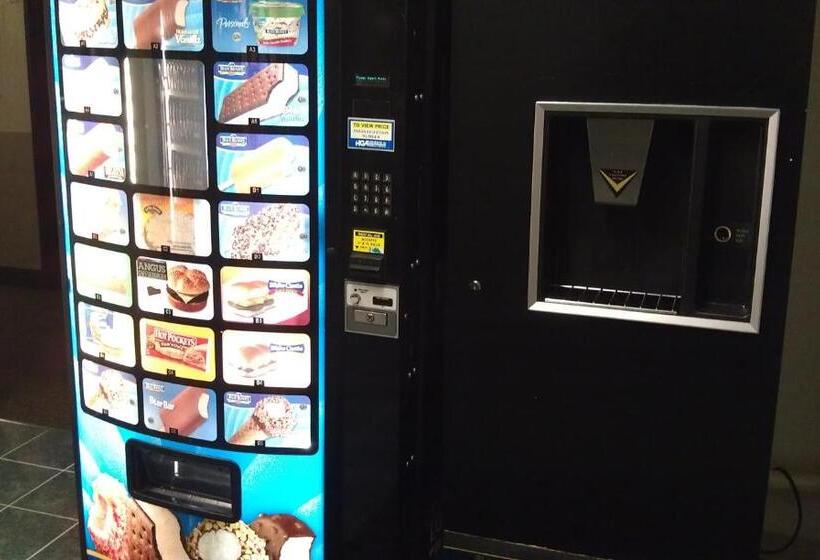 汽车旅馆  Super 8 By Wyndham Newburgh/west Point Stewart Intl Airport