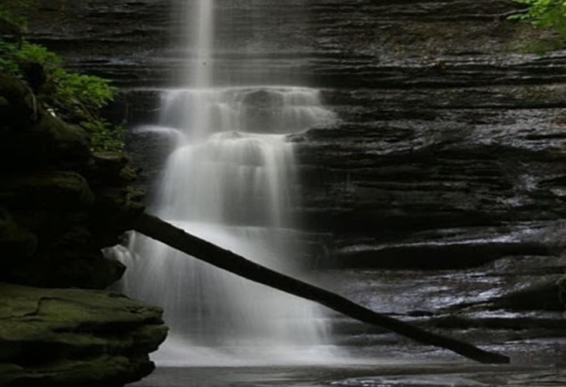 汽车旅馆  Super 8 By Wyndham Ottawa Starved Rock