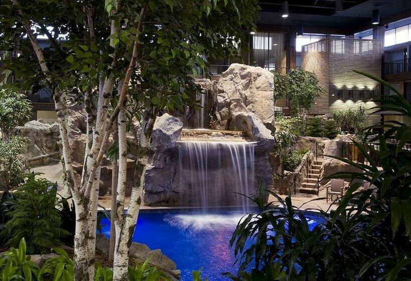 Radisson Hotel at Star Plaza