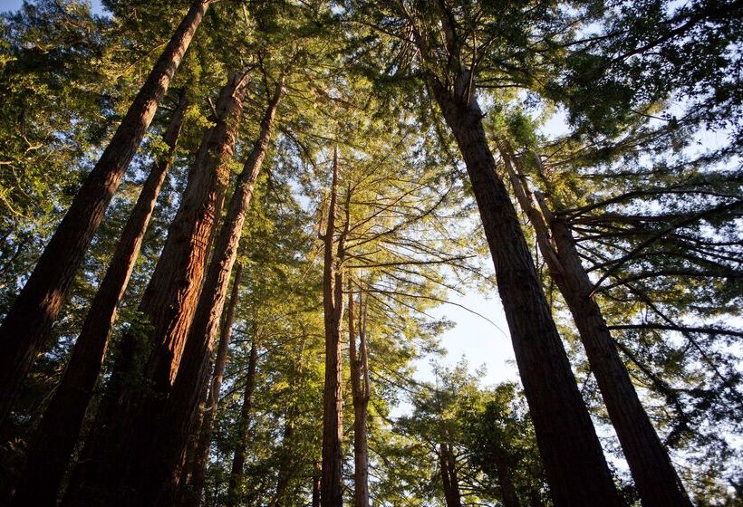 호텔 Alila Ventana Big Sur, All Inclusive Adults Only