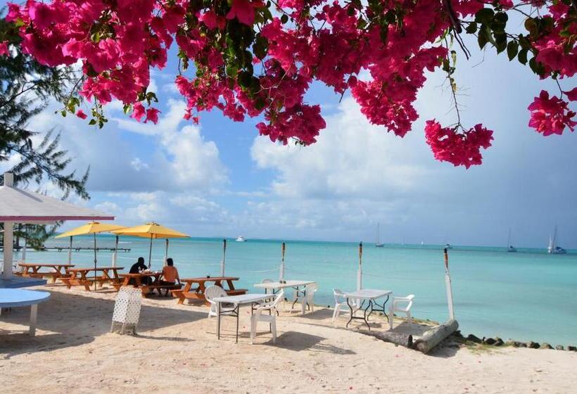 Отель Anegada Reef