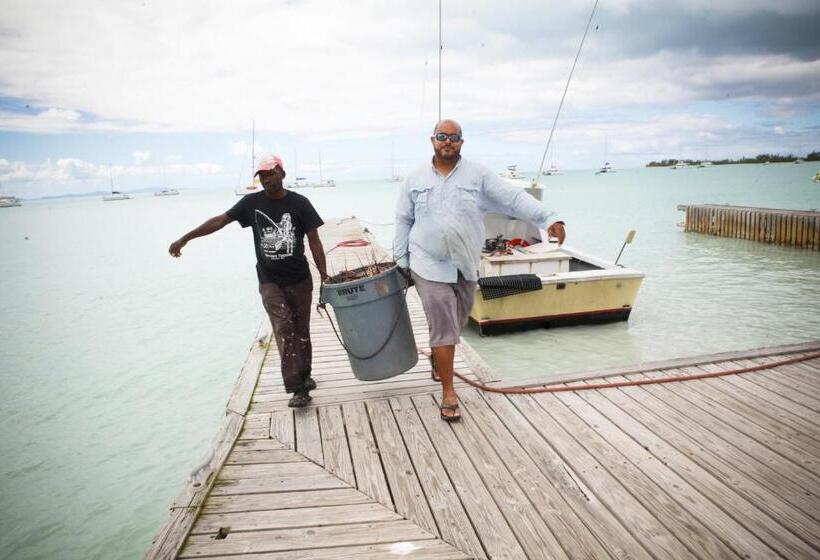 Отель Anegada Reef