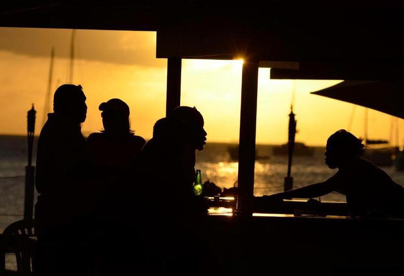 Отель Anegada Reef