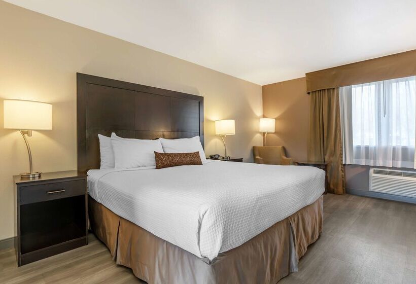 ホテル Best Western Inn Of Vancouver