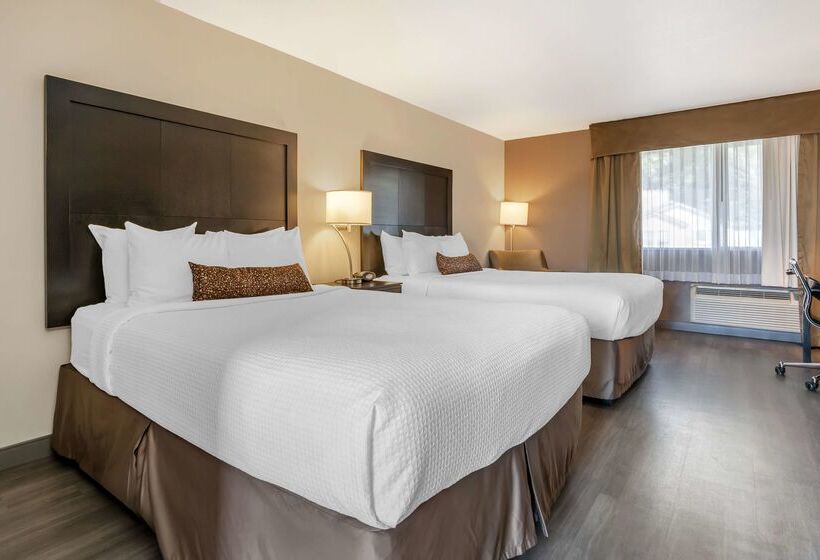 ホテル Best Western Inn Of Vancouver