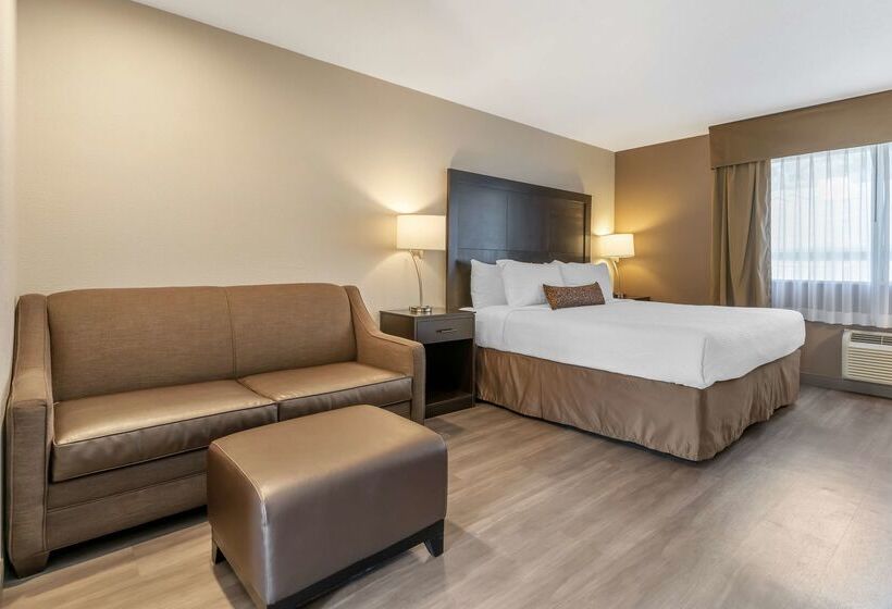 ホテル Best Western Inn Of Vancouver