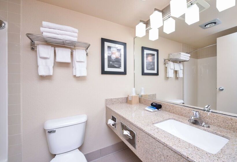 בית מלון כפרי Best Western Kelly Inn   Yankton