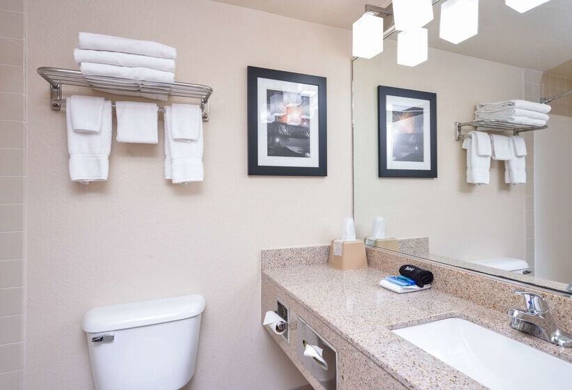 בית מלון כפרי Best Western Kelly Inn   Yankton