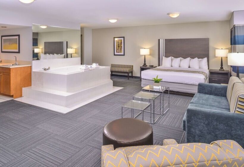 בית מלון כפרי Best Western Naperville Inn
