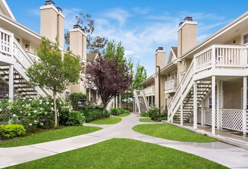 Отель Chase Suites Brea Fullerton   North Orange County