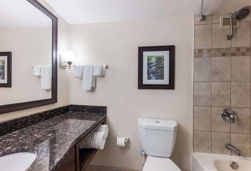 Clarion Hotel & Suites