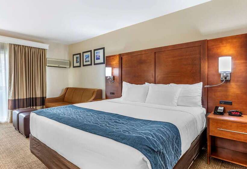 ホテル Comfort Inn Escondido San Diego North County