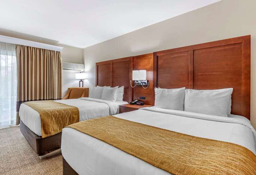 ホテル Comfort Inn Escondido San Diego North County