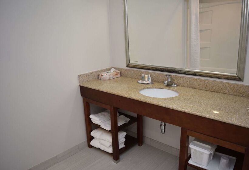 בית מלון כפרי Comfort Inn & Suites Syracusecarrier Circle