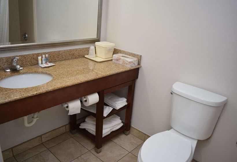 호텔 Comfort Inn & Suites Syracusecarrier Circle