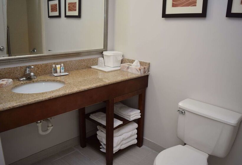 בית מלון כפרי Comfort Inn & Suites Syracusecarrier Circle