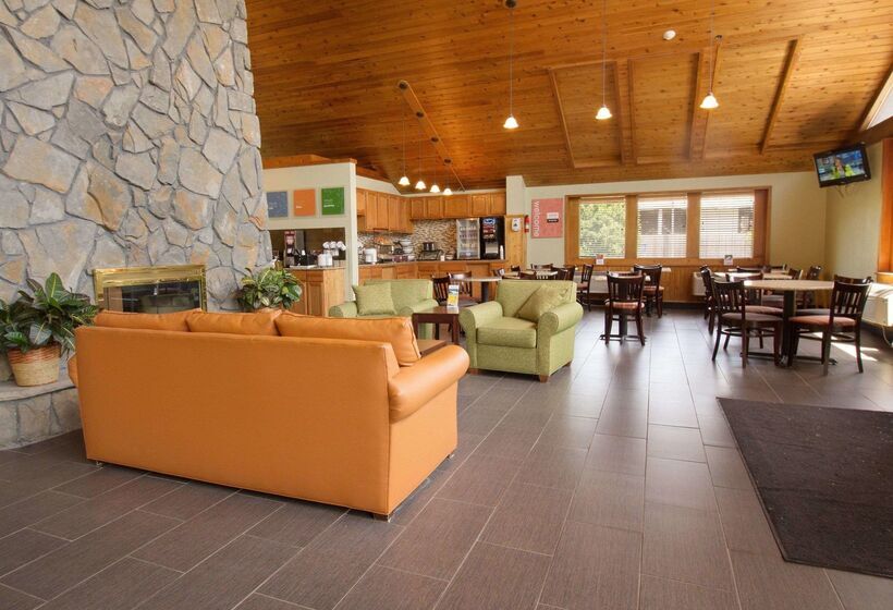 호텔 Comfort Inn & Suites Syracusecarrier Circle