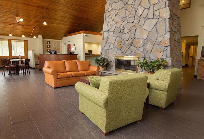 호텔 Comfort Inn & Suites Syracusecarrier Circle