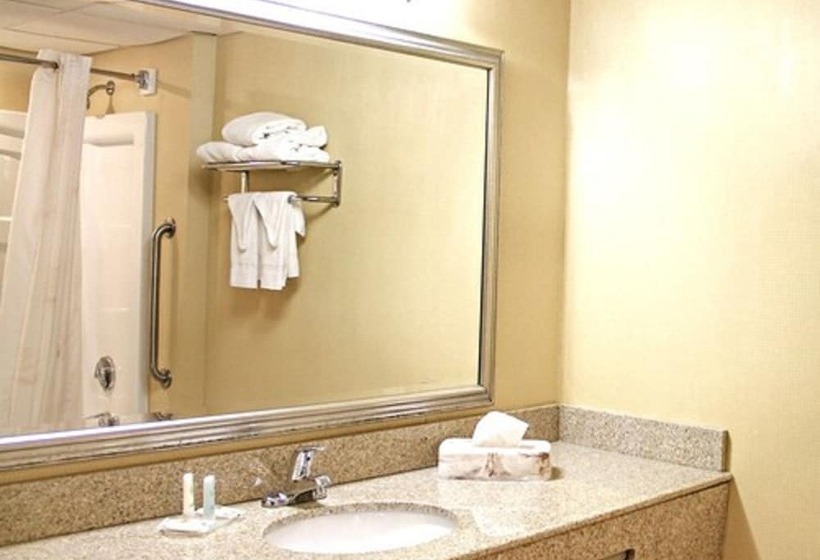 בית מלון כפרי Comfort Inn & Suites Syracusecarrier Circle