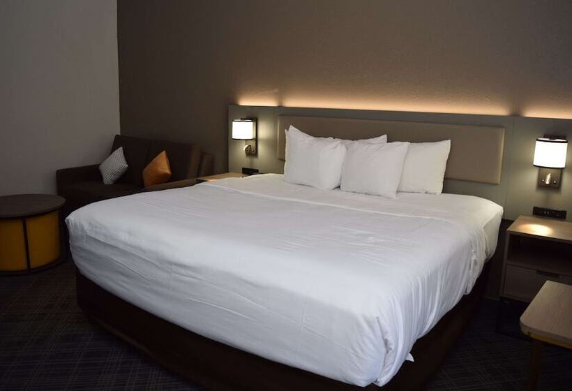 호텔 Comfort Inn & Suites Syracusecarrier Circle