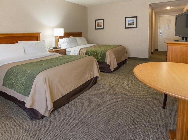 בית מלון כפרי Comfort Inn & Suites Syracusecarrier Circle