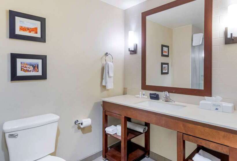 هتل Comfort Suites St George  University Area