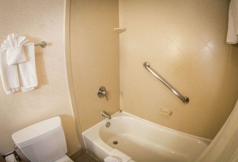 Отель Wyndham Midland Downtown