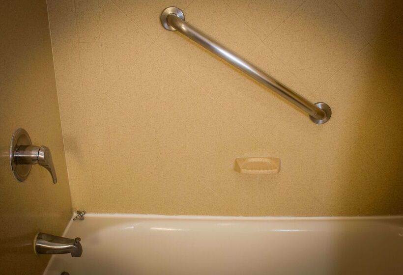 Отель Wyndham Midland Downtown