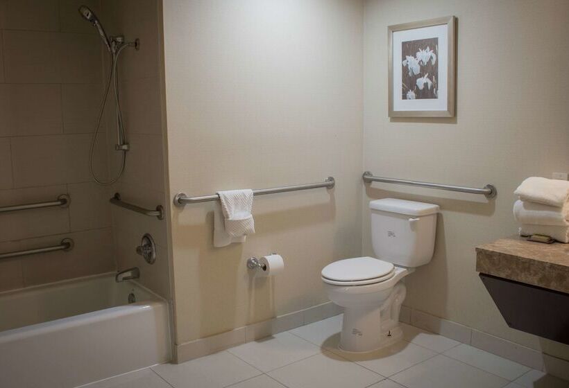 Отель Wyndham Midland Downtown