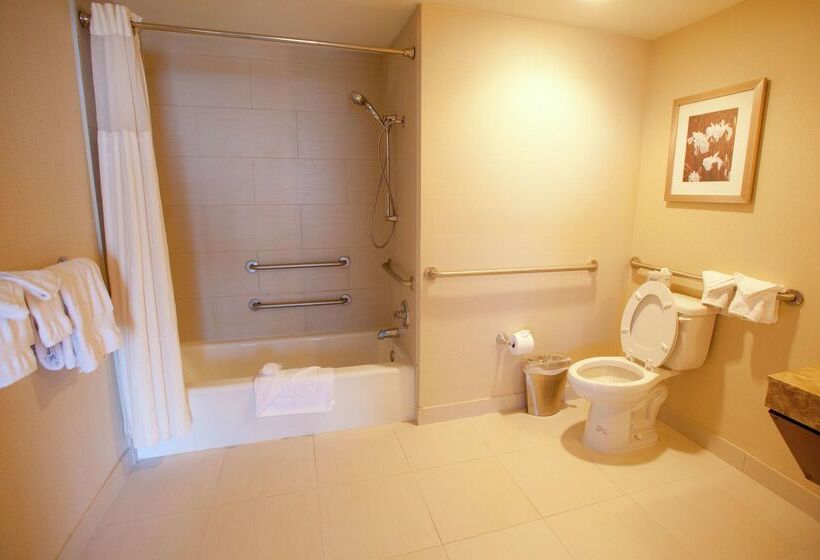 هتل Wyndham Midland Downtown