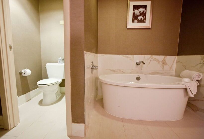 Отель Wyndham Midland Downtown