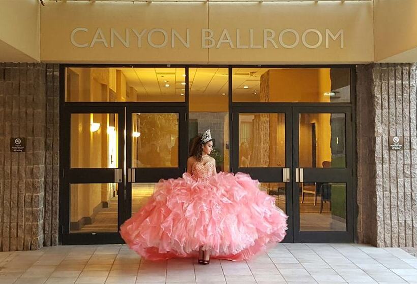 فندق Doubletree By Hilton Phoenix North