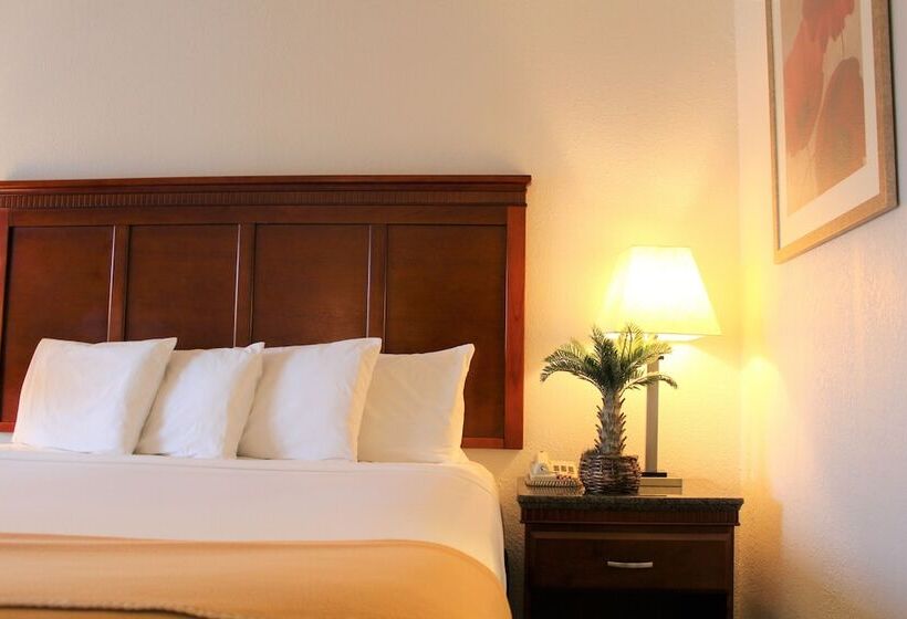 Отель Rodeway Inn