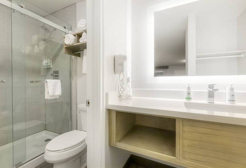 Отель Greentree Inn Flagstaff