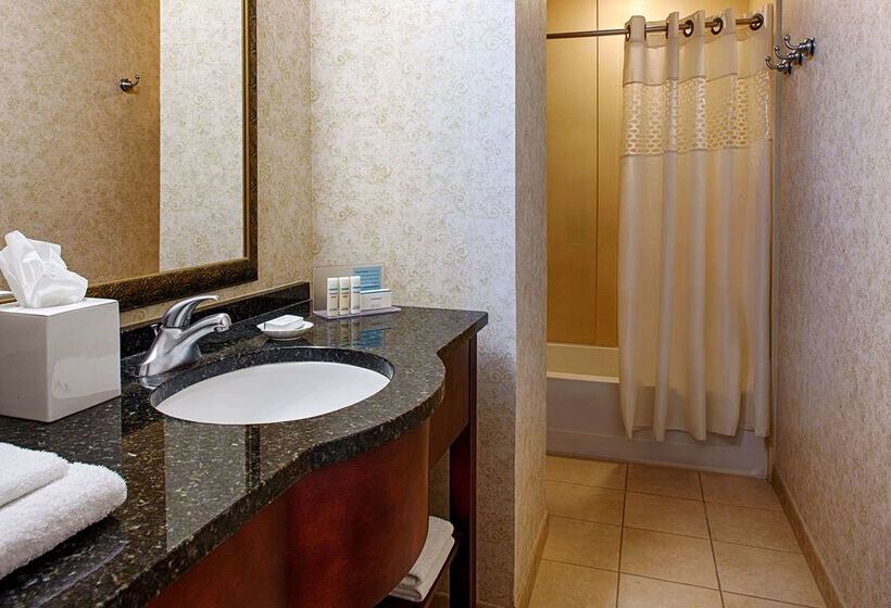 酒店 Hampton Inn & Suites Birminghamdowntowntutwiler
