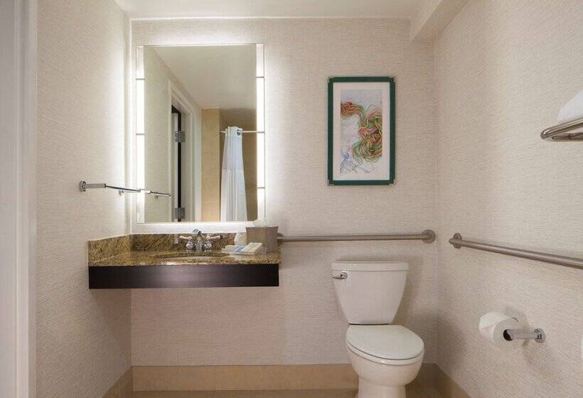 בית מלון כפרי Hilton Garden Inn Austin Downtown/convention Center