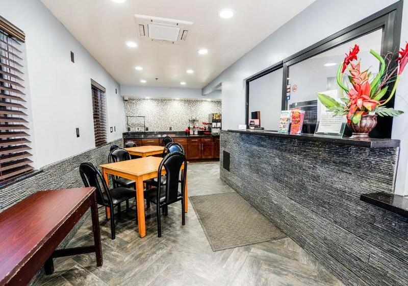 酒店 Hollywood Inn Express Lax