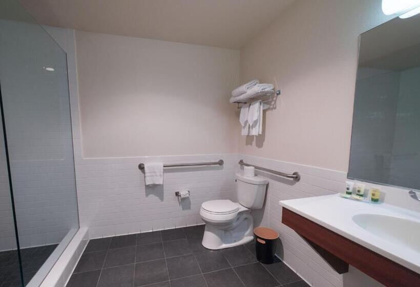 فندق Lemon Tree Inn