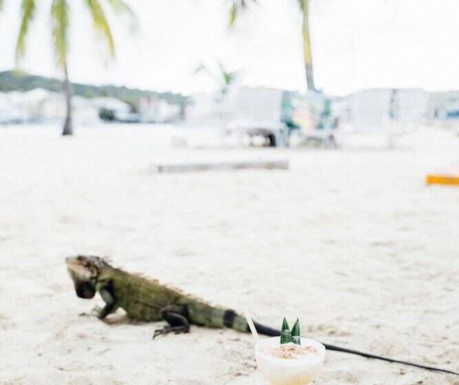 هتل On The Cay