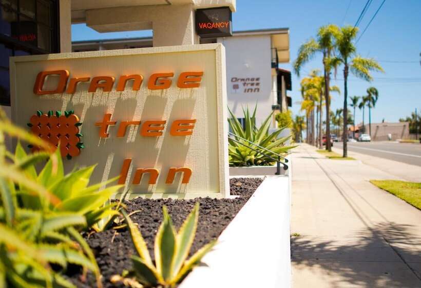 فندق Orange Tree Inn