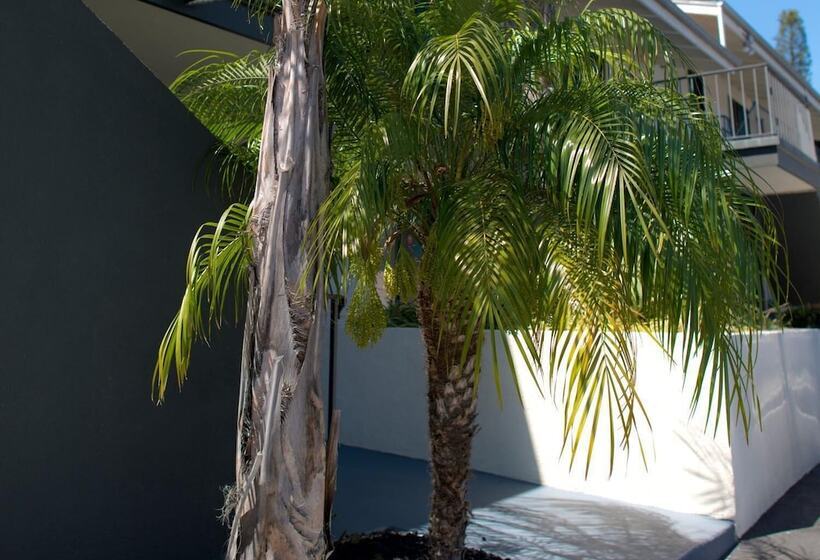 فندق Orange Tree Inn