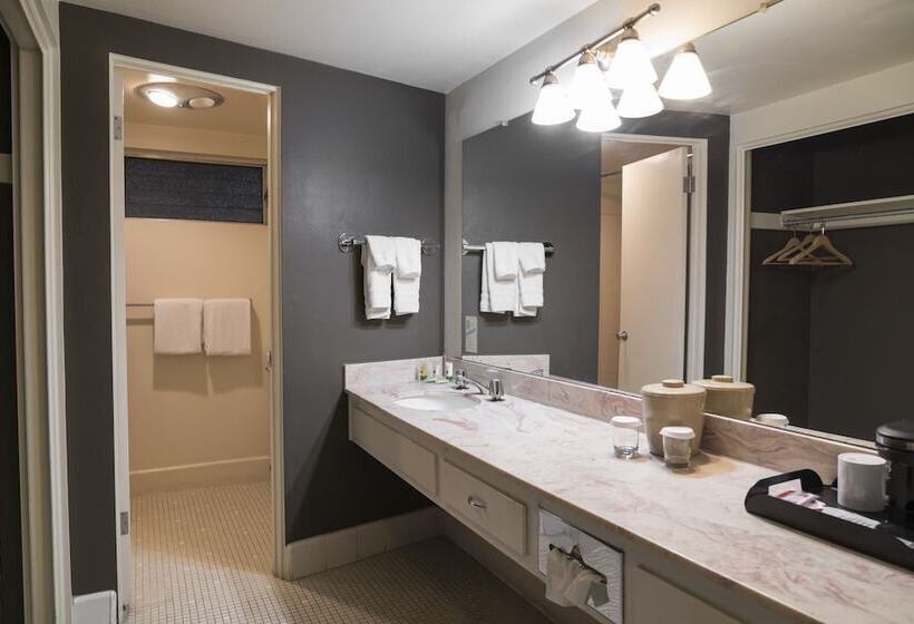 فندق Orange Tree Inn