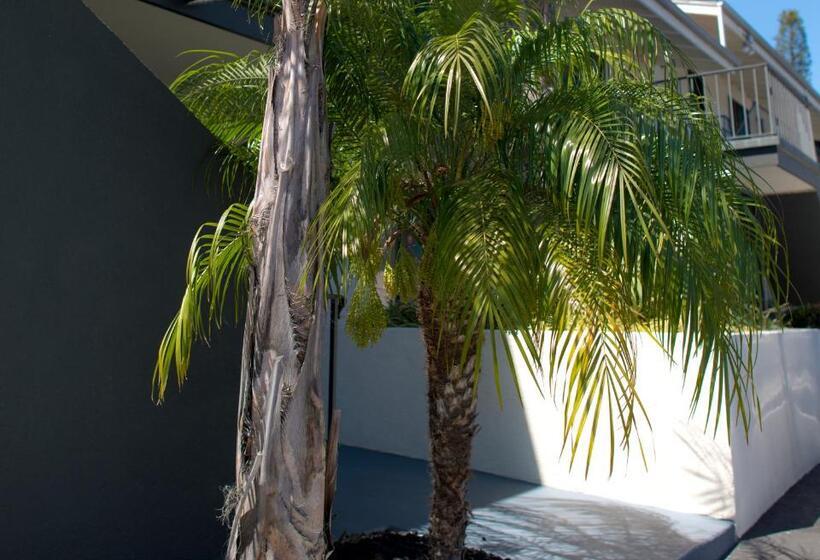 فندق Orange Tree Inn