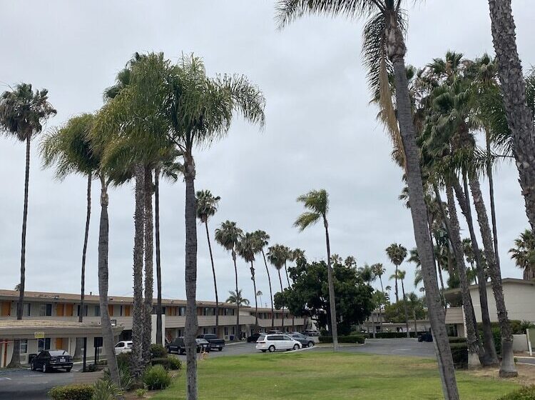 Отель Palmeras Chula Vista